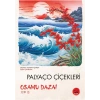 Palyaço Çiçeklerı̇