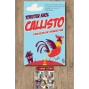 Callisto / Torsten Krol + Sanat Kitabı