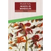 Akasya ve Mandolin