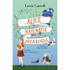 Alice Matematik Diyarında