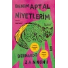 Benim Aptal Niyetlerim