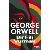 Bir Fili Vurmak