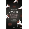Bir Yüreğin Çöküşü