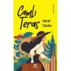 Camlı Teras