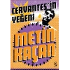 Cervantesin Yeğeni