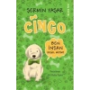 Cingo - Ben İnsan Değil miyim?