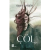 Çöl