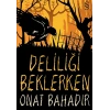Deliliği Beklerken