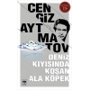 Deniz Kıyısında Koşan Ala Köpek