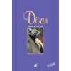 Divan