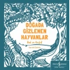 Doğada Gizlenen Hayvanlar