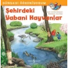 Dünyayı Öğreniyorum - Şehirdeki Yabani Hayvanlar