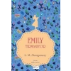 Emily Tırmanıyor 2 (Bez Ciltli)