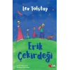 Erik Çekirdeği