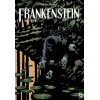 Frankenstein (Cilt 2)