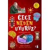 Gece Neden Uyuruz?