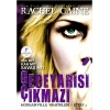 Geceyarısı Çıkmazı