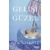 Gelişigüzel