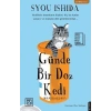 Günde Bir Doz Kedi