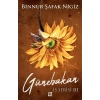 Günebakan - İs Serisi 3