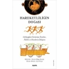 Hareketliliğin Doğası