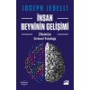 İnsan Beyninin Gelişimi
