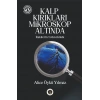 Kalp Kırıkları Mikroskop Altında