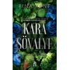 Kara Şövalye