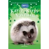 Kayıp Kirpi Yavrusu