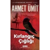 Kırlangıç Çığlığı