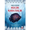 Küçük Kara Balık