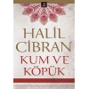 Kum ve Köpük