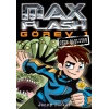 Max Flash Görev 1