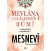 Mesnevi (Ciltli)