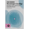 Metafiziğin Güzelliği