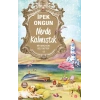 Nerde Kalmıştık
