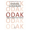 Odak
