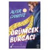 Örümcek Burgacı / Alper Canıgüz + Sanat Kitabı
