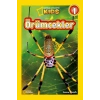 Örümcekler