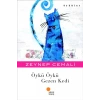 Öykü Öykü Gezen Kedi