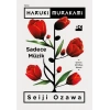 Sadece Müzik