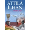 Sırtlan Payı