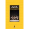 Spinoza – Bir Hakikat İfadesi