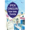 Taşlar Yerine Otururken