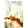 The Burning Secret