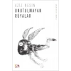 Unutulmayan Rüyalar