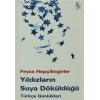 Yıldızların Suya Döküldüğü