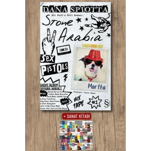 Stone Arabia / Dana Spiotta + Sanat Kitabı