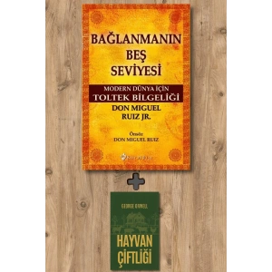 Bağlanmanın Beş Seviyesi