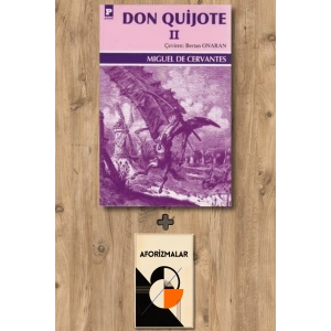 Don Quijote 2